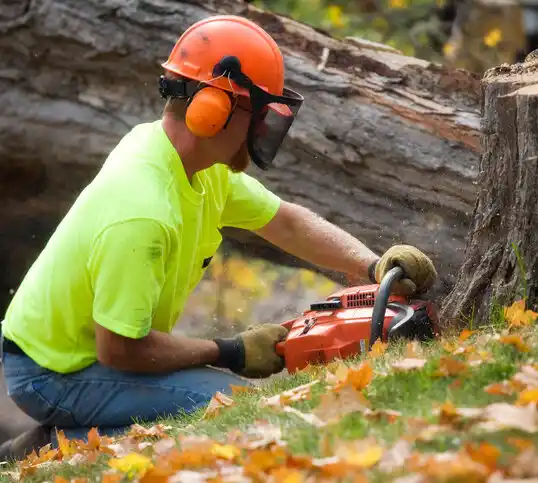 tree services Shirley